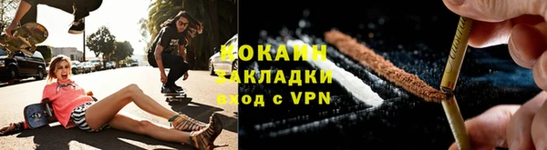 прущие грибы Бугульма