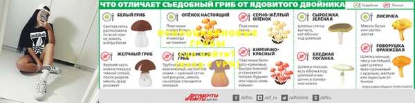 прущие грибы Бугульма