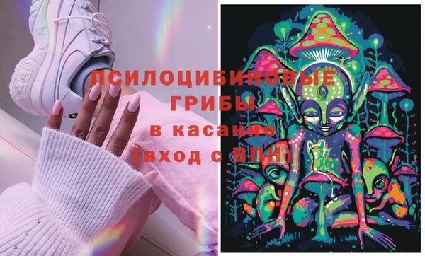 прущие грибы Бугульма