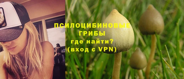 герыч Бронницы