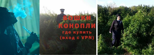 прущие грибы Бугульма